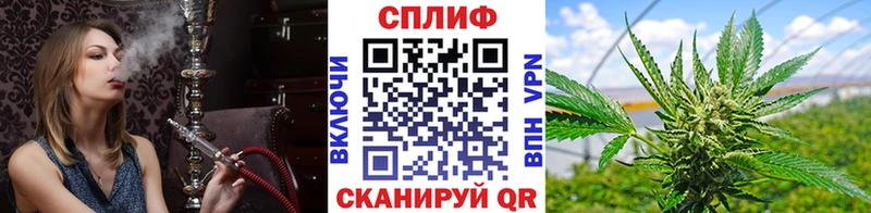 Псилоцибиновые грибы Кропоткин