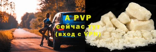 a pvp Алзамай